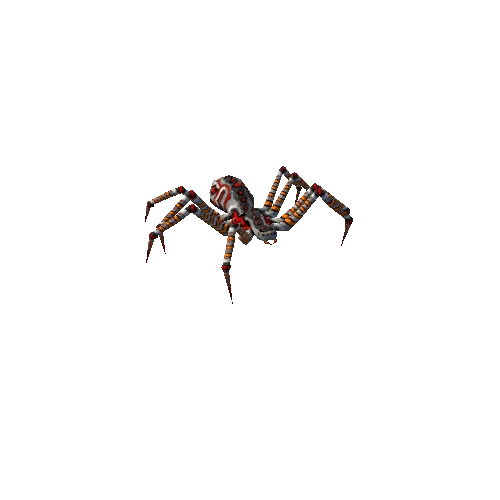 spider 6